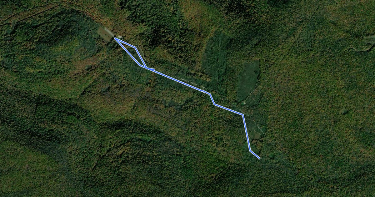 Маршрут Ohiopyle - Pressley Connection на спутниковом снимке