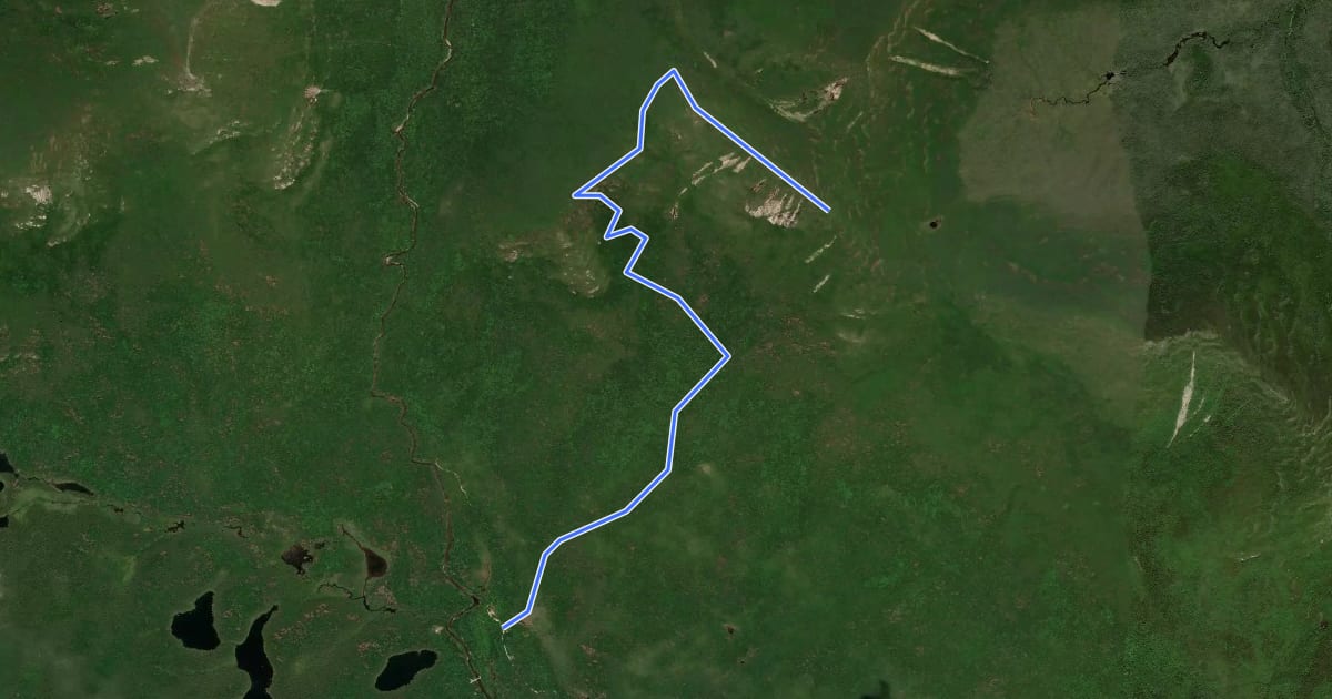 Маршрут OJI Trail на спутниковом снимке