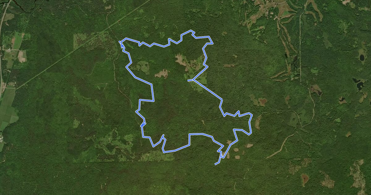 Маршрут Ojibwe Trail на спутниковом снимке