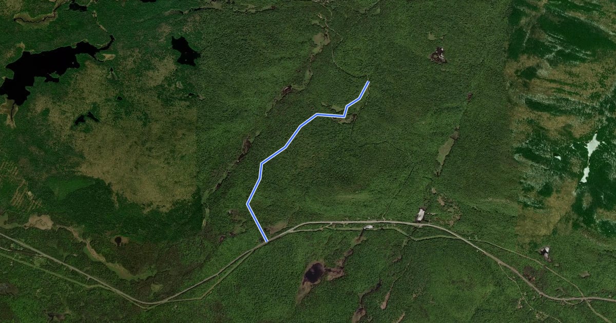 Маршрут OK Slip Falls Trail на спутниковом снимке