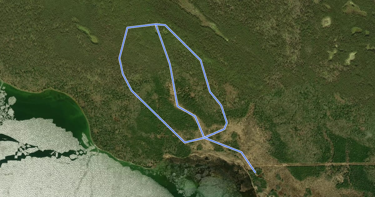 Маршрут Old Baldy Trail на спутниковом снимке