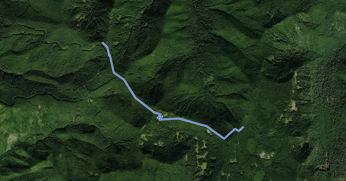 Маршрут Old Baldy Trail #502 на спутниковом снимке