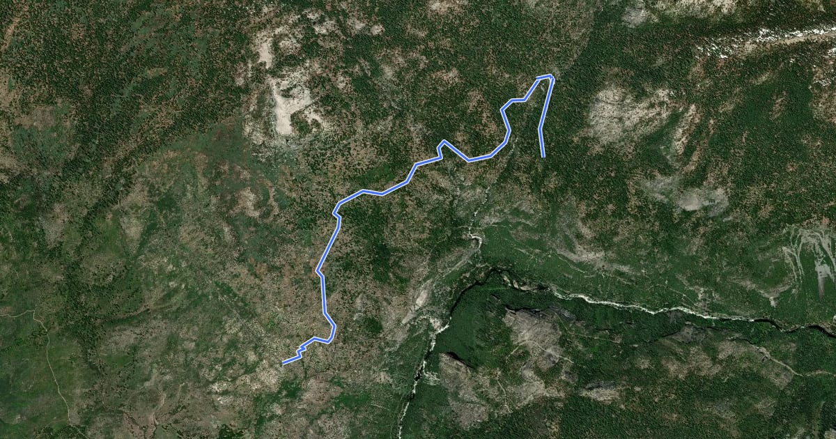 Маршрут Old Big Oak Flat Road Trail на спутниковом снимке
