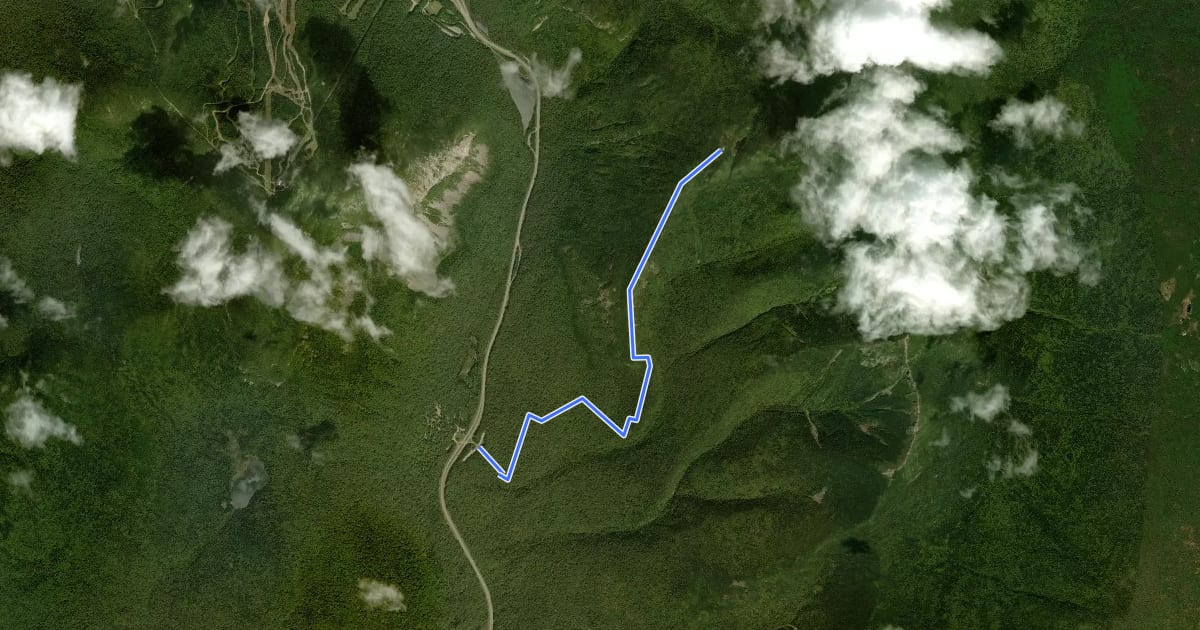 Маршрут Old Bridle Path на спутниковом снимке