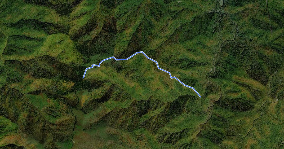 Маршрут Old Butt Knob Trail на спутниковом снимке