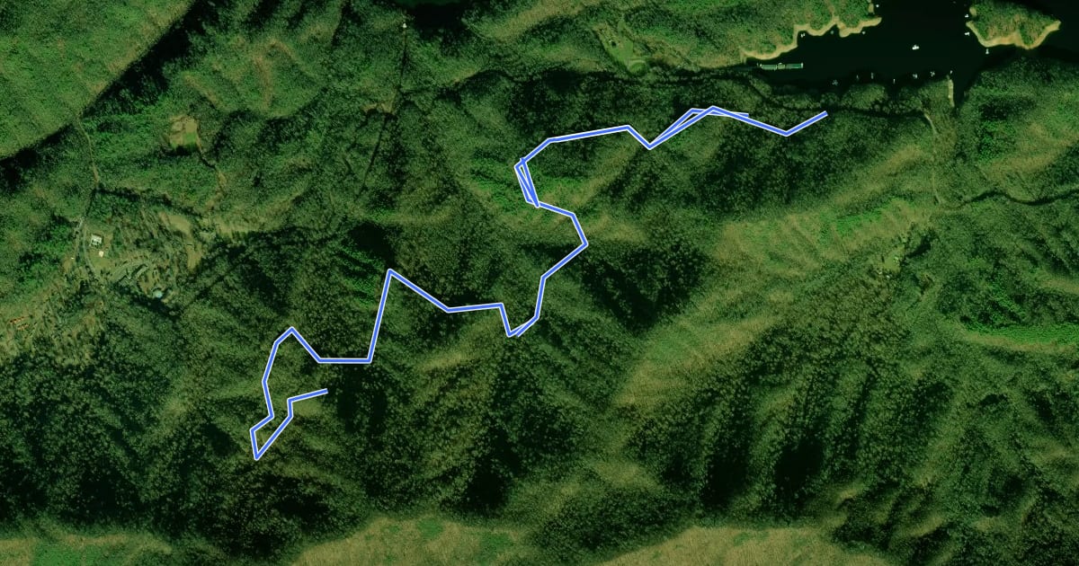 Маршрут Old Fontana Forest Road на спутниковом снимке