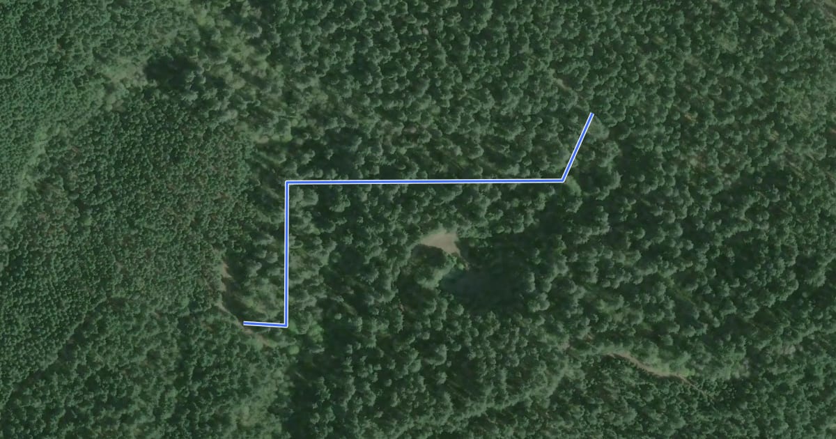 Маршрут Old Growth Trail на спутниковом снимке