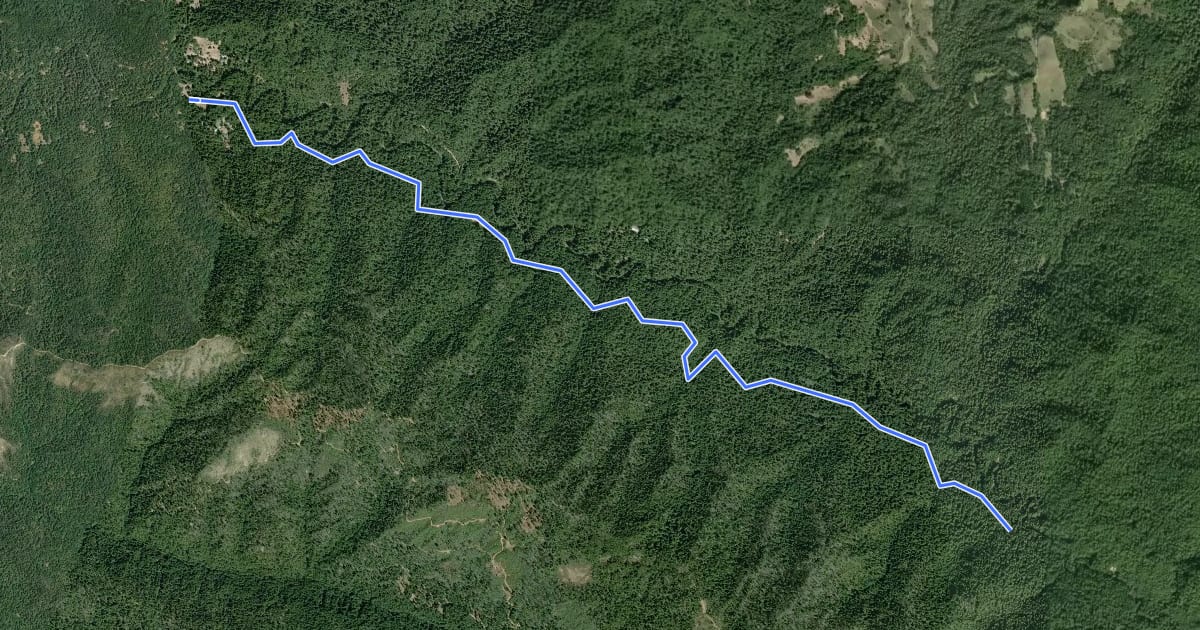 Маршрут Old Haul Road на спутниковом снимке