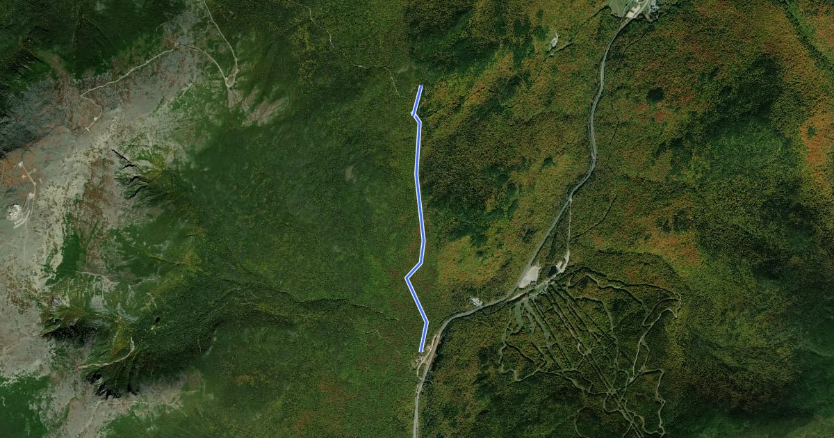 Маршрут Old Jackson Road на спутниковом снимке