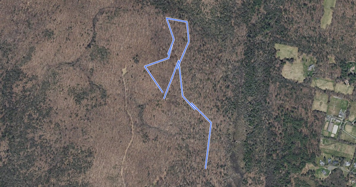 Маршрут Old Messenger Road Corridor Trail на спутниковом снимке