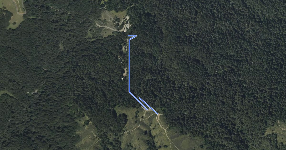 Маршрут Old Mine Trail на спутниковом снимке