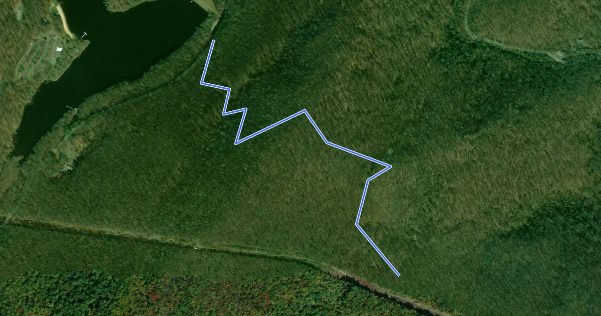 Маршрут Old Misery Trail на спутниковом снимке