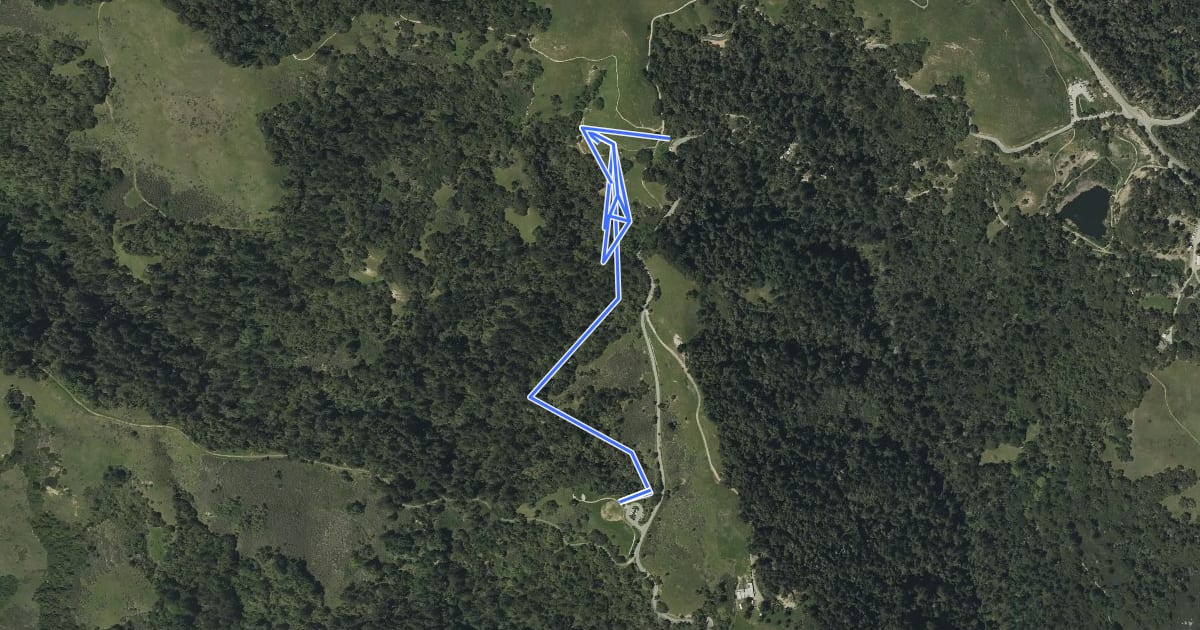 Маршрут Old Page Mill Trail на спутниковом снимке