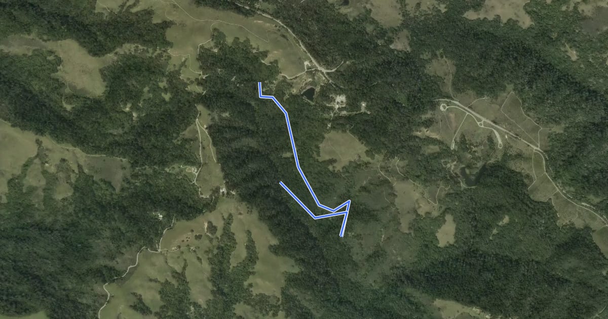 Маршрут Old Page Mill Trail на спутниковом снимке