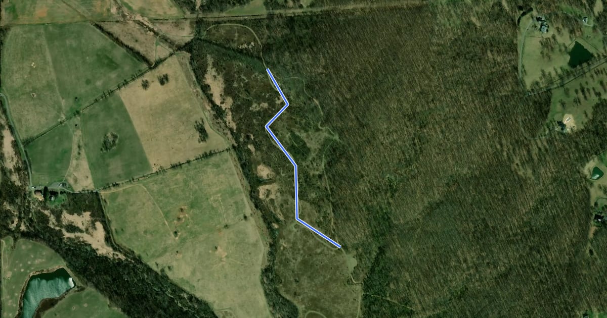 Маршрут Old Pasture Trail на спутниковом снимке