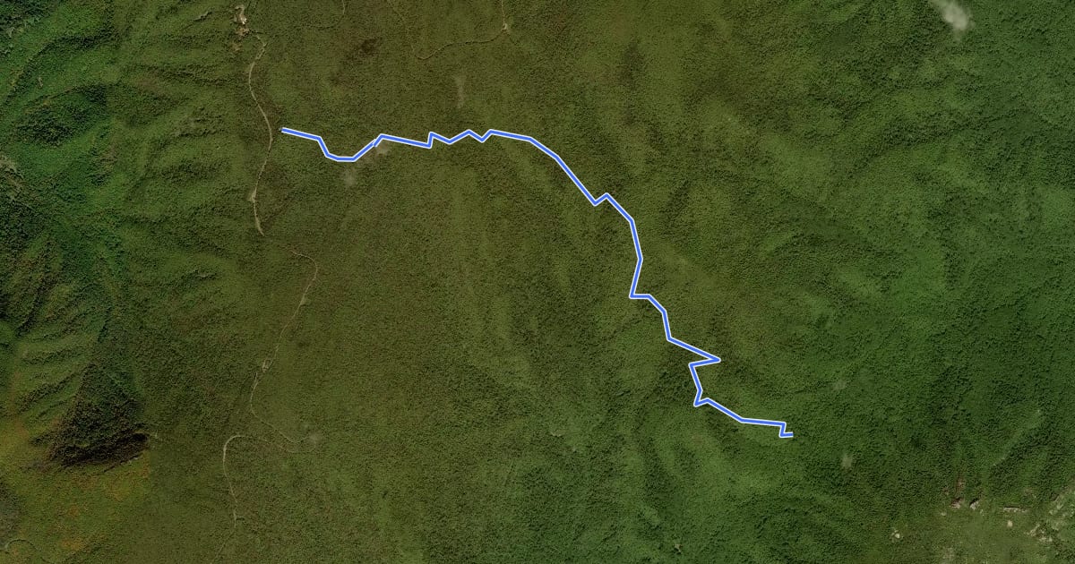 Маршрут Old Rag Fire Road на спутниковом снимке
