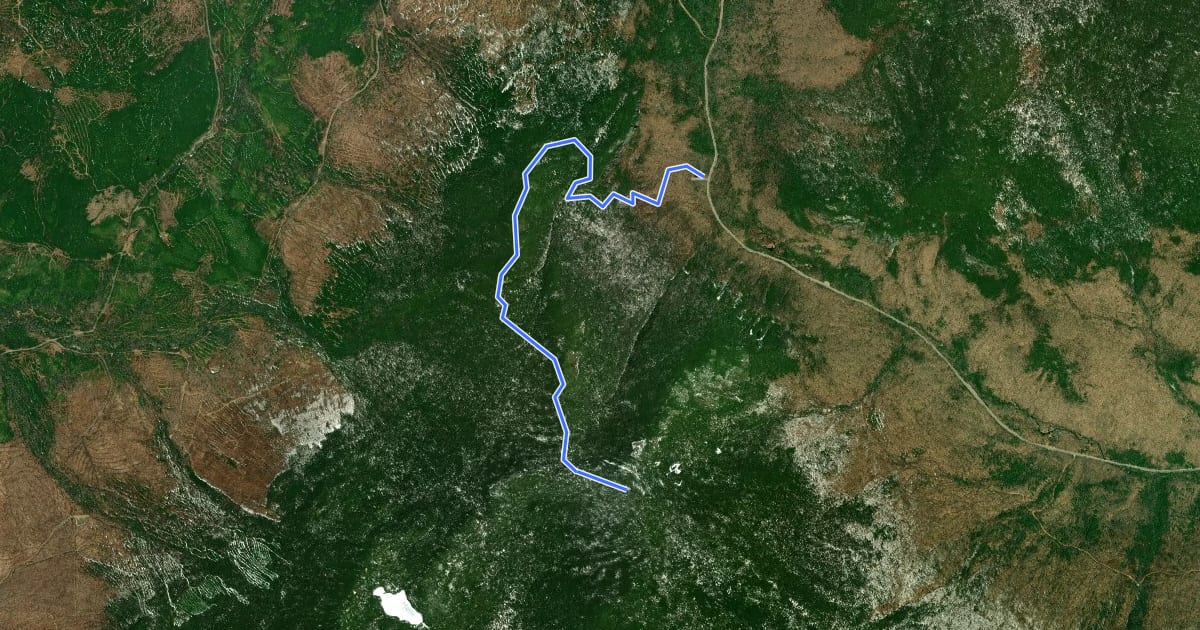 Маршрут Old Speck Trail на спутниковом снимке