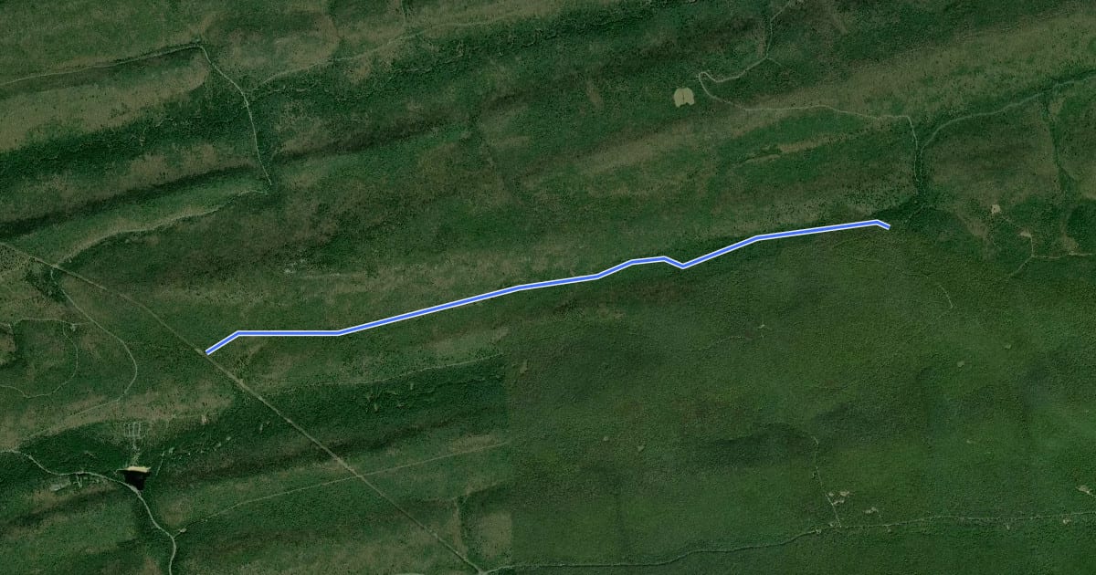 Маршрут Old Tram Trail на спутниковом снимке