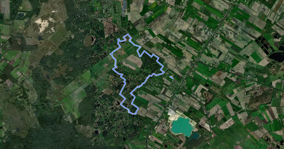 Маршрут Olde Smildeger Wandelroute на спутниковом снимке