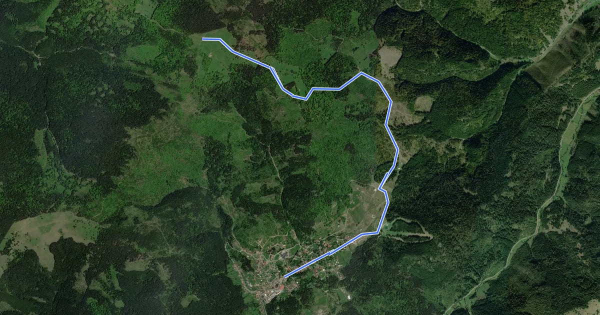 Маршрут oraș Borsec - Uzina 7 Izvoare - Vf. Făget на спутниковом снимке