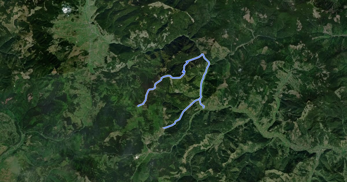 Маршрут oraș Borsec - Valea Bistricioara - Vf. Făget на спутниковом снимке