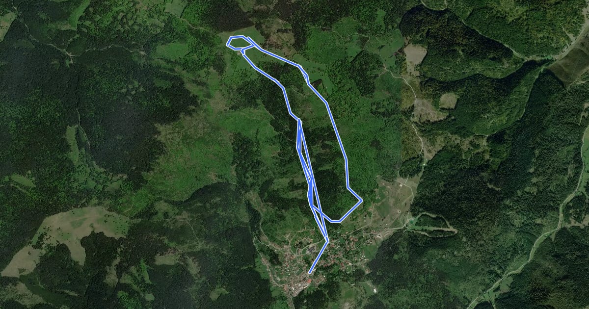 Маршрут oraș Borsec - Valea Nadășa - Vf. Făgețel - Valea Nadășa - oraș Borsec на спутниковом снимке