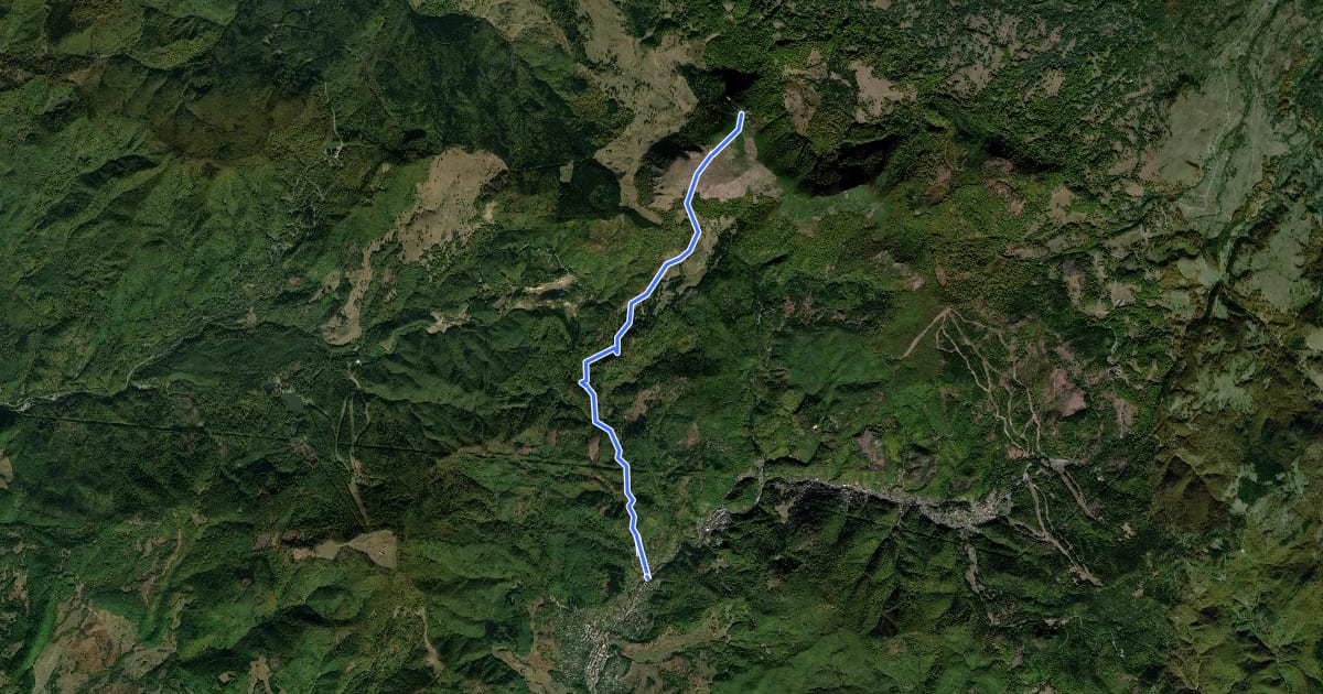 Маршрут oraș Cavnic – lângă Vârful Secătura – Creasta Cocoșului (red triangle) на спутниковом снимке