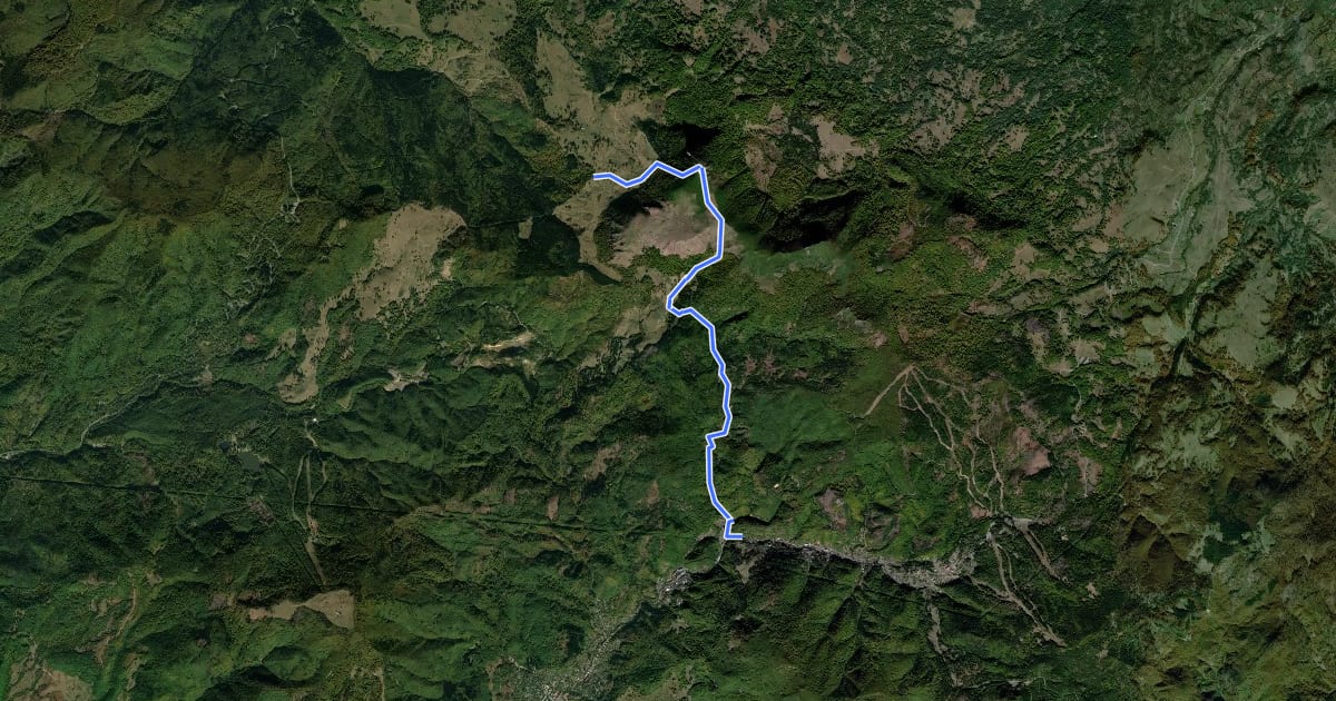 Маршрут oraș Cavnic – Poiana Mlejnița – Creasta Cocoșului (blue_cross) на спутниковом снимке