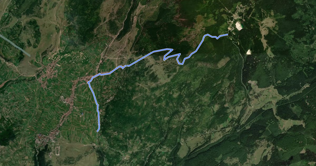 Маршрут oraș Vlăhița (TourInfo) - Vf. Fagii Roșii - Stațiunea Harghita-Băi на спутниковом снимке