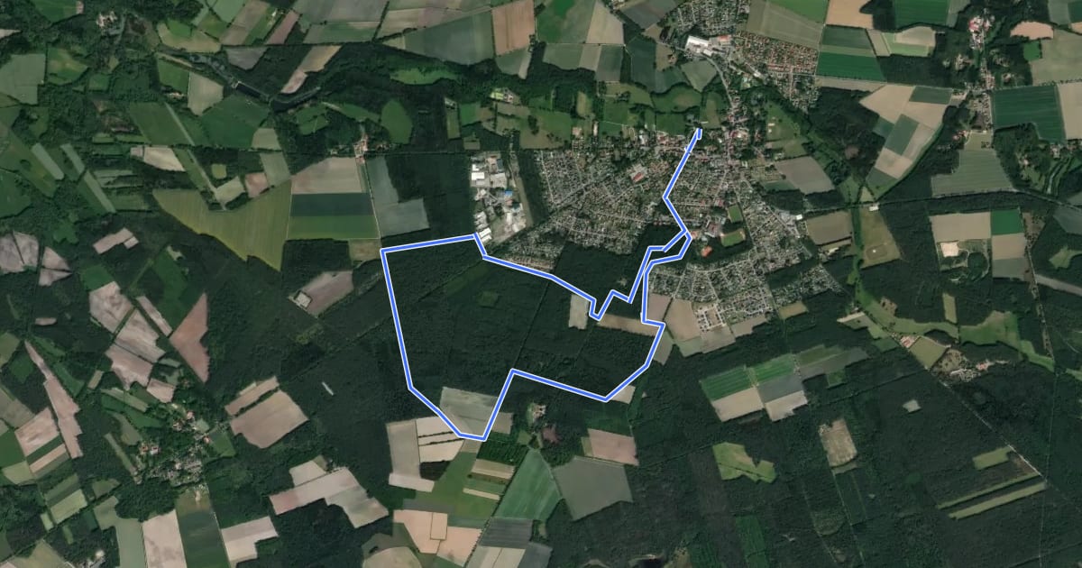 Маршрут Orangene Nordic-Walking-Strecke Neuenkirchen на спутниковом снимке