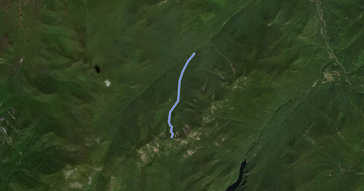 Маршрут Orebed Brook Trail на спутниковом снимке