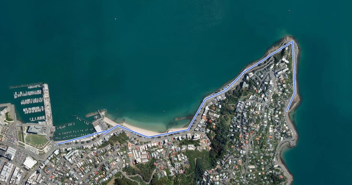 Маршрут Oriental Parade Cycleway на спутниковом снимке