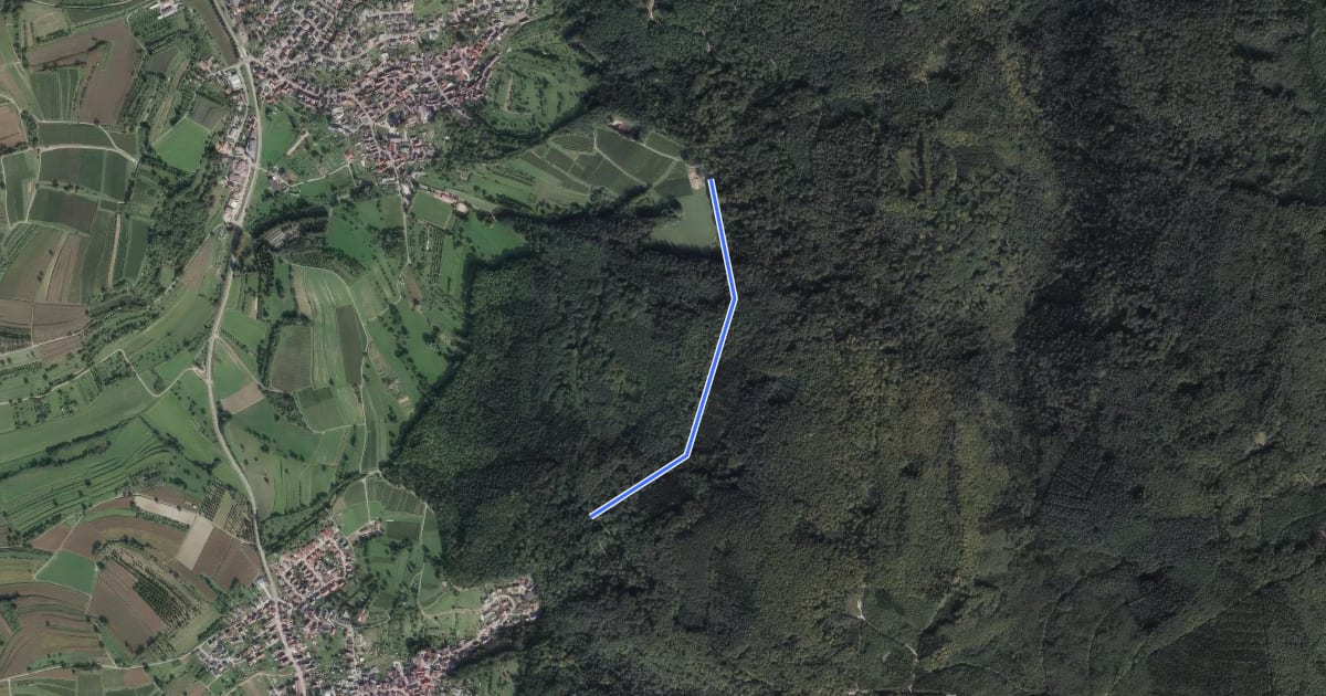 Маршрут Orschweierer Hütte - Vogesenblick на спутниковом снимке