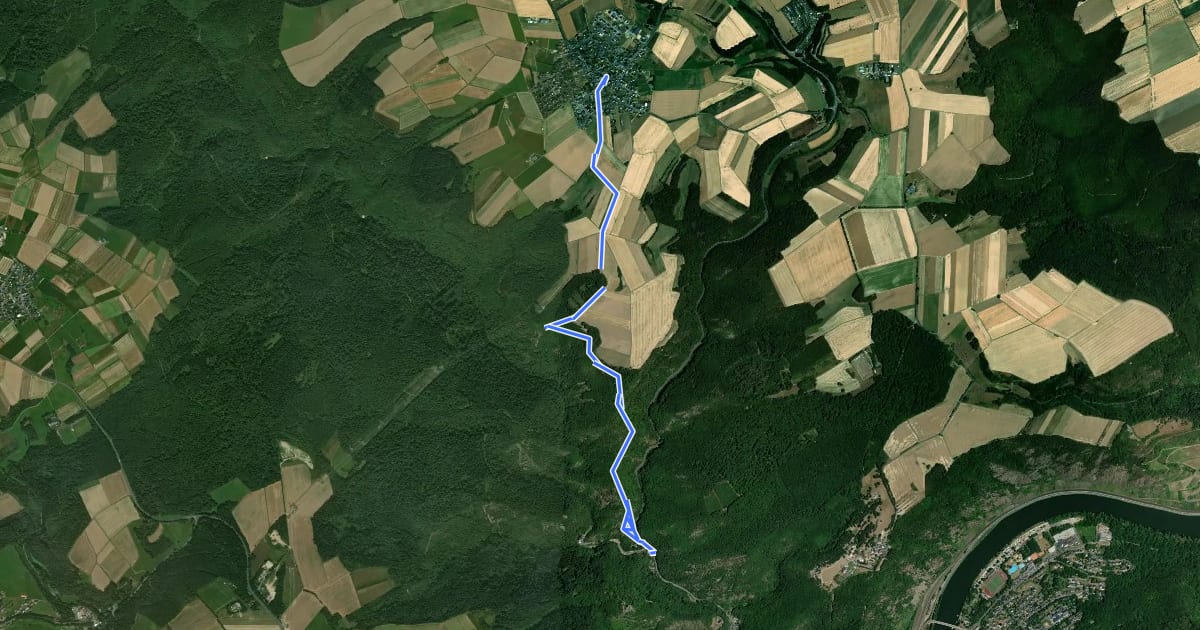 Маршрут Orstwanderweg 8 на спутниковом снимке
