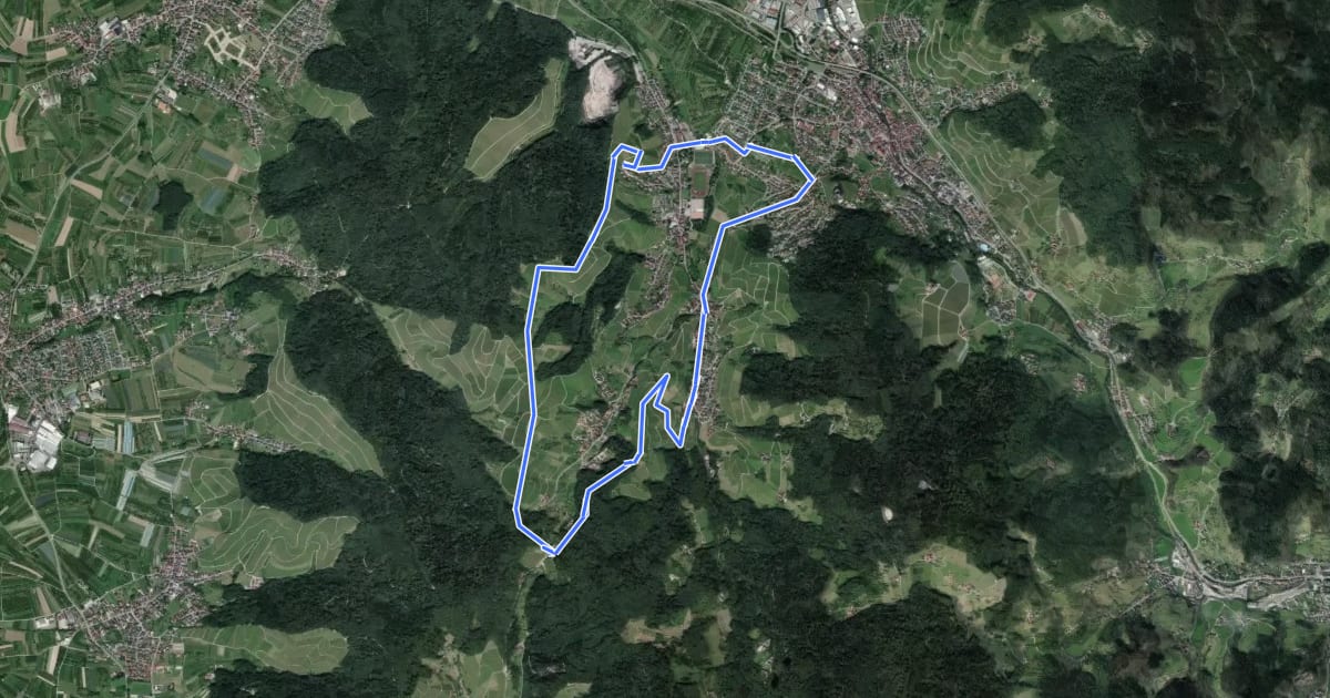 Маршрут Ortenauer Weinschleife - Schwarzwald-Vogesen-Panoramarunde на спутниковом снимке
