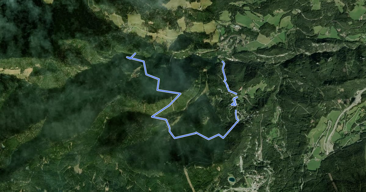 Маршрут Orthof - Rotberg - Meierei - Semmering - Falkenstein на спутниковом снимке