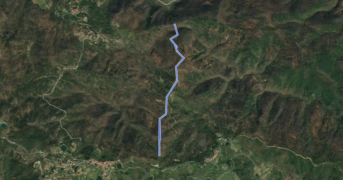 Маршрут Ortogrillo - Monte Pigain - Casa Fogona - Monte Fogona - La Rocca (Bivio 626) на спутниковом снимке