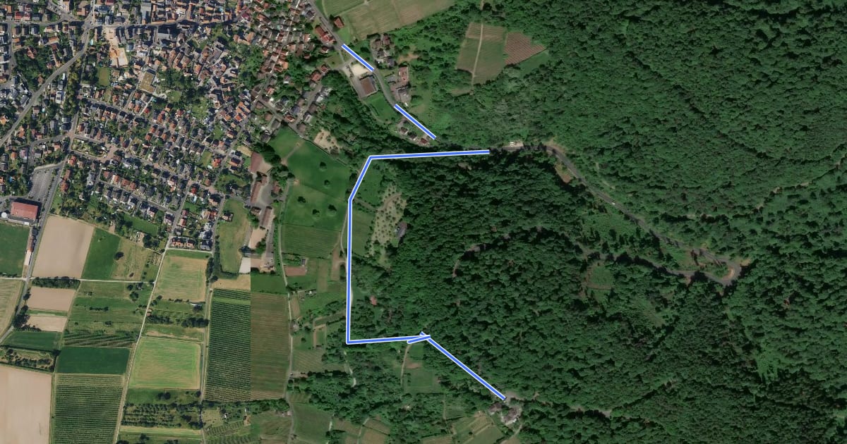 Маршрут Ortswanderweg Alzenau 4 на спутниковом снимке