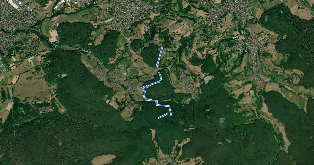 Маршрут Ortswanderweg Aschaffenburg 2 на спутниковом снимке