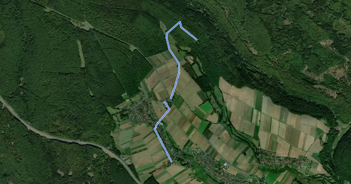 Маршрут Ortswanderweg Bischbrunn 1 на спутниковом снимке