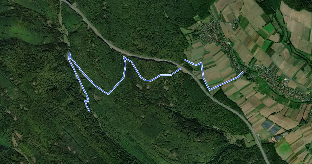 Маршрут Ortswanderweg Bischbrunn 5 на спутниковом снимке