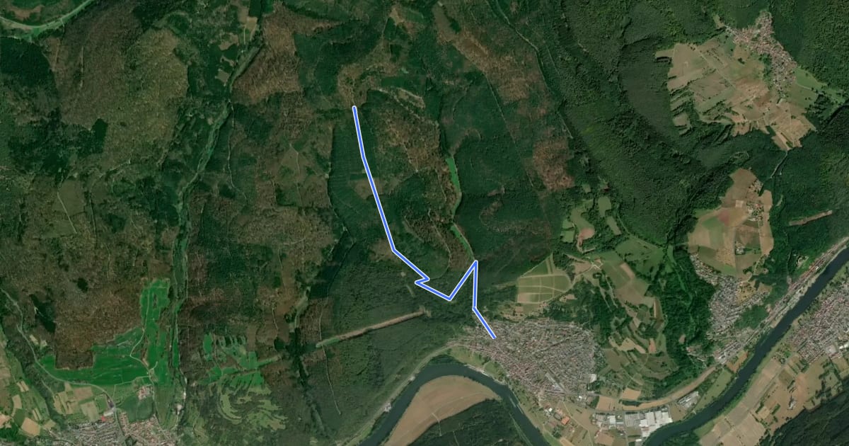 Маршрут Ortswanderweg Dorfprozelten D1 на спутниковом снимке