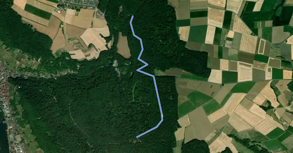 Маршрут Ortswanderweg Erlenbach 3 на спутниковом снимке
