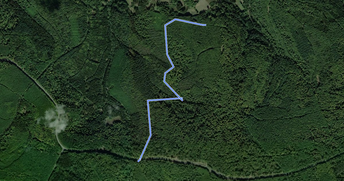 Маршрут Ortswanderweg Neuhütten 3 на спутниковом снимке