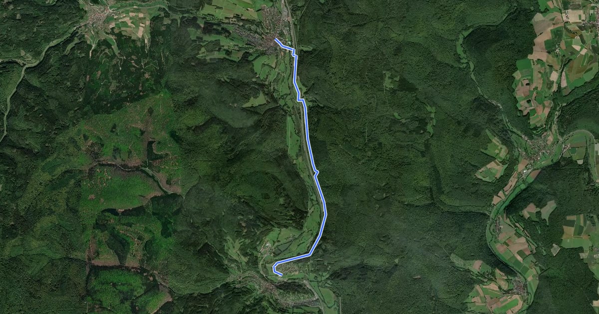 Маршрут Ortswanderweg Rieneck 1 на спутниковом снимке