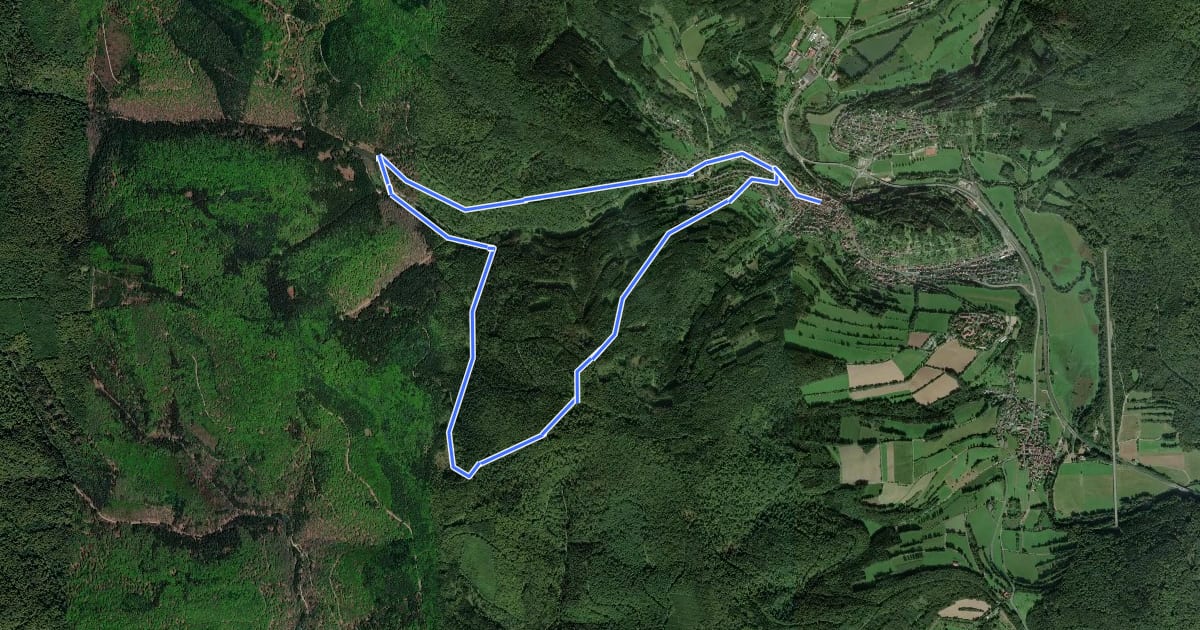Маршрут Ortswanderweg Rieneck 4 на спутниковом снимке
