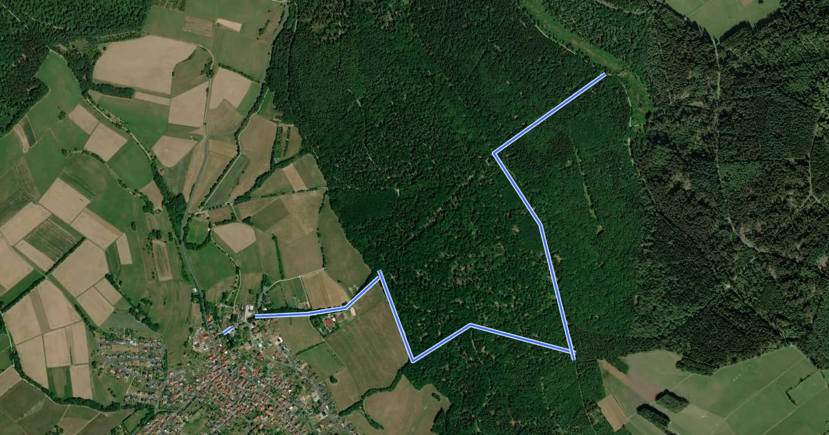 Маршрут Ortswanderweg Wiesen 1 на спутниковом снимке