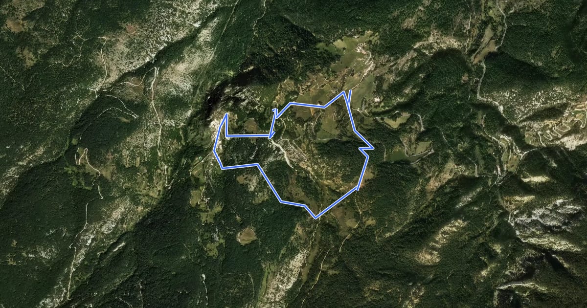 Маршрут Ossera, itinerari botànic на спутниковом снимке
