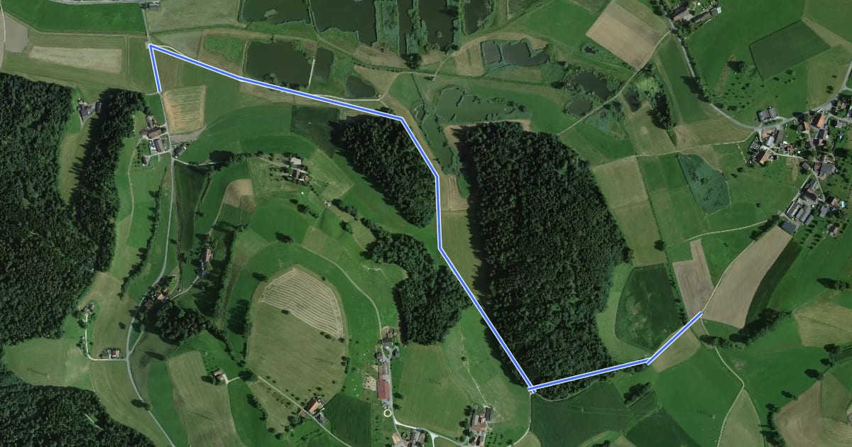 Маршрут Ostergau - Wüschiswil на спутниковом снимке