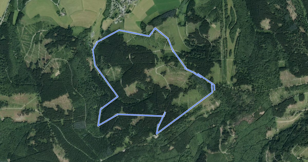 Маршрут Osterwald Rundweg O2 на спутниковом снимке
